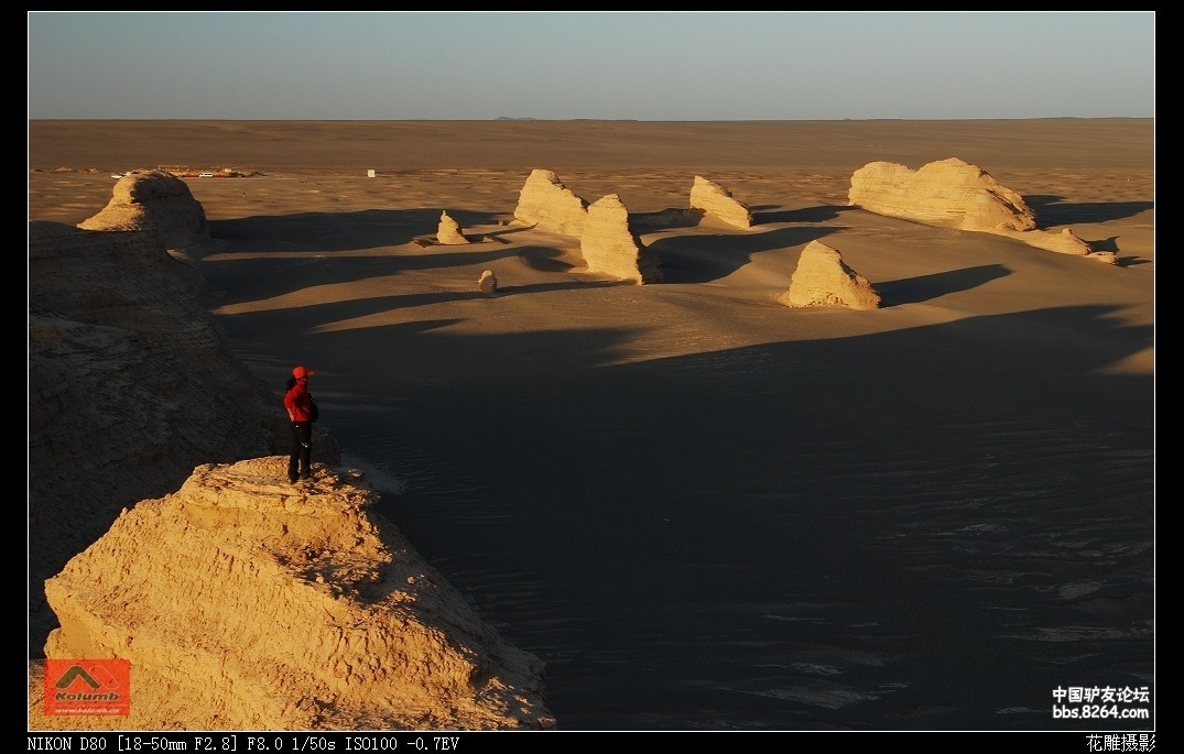 D01-20_5.jpg