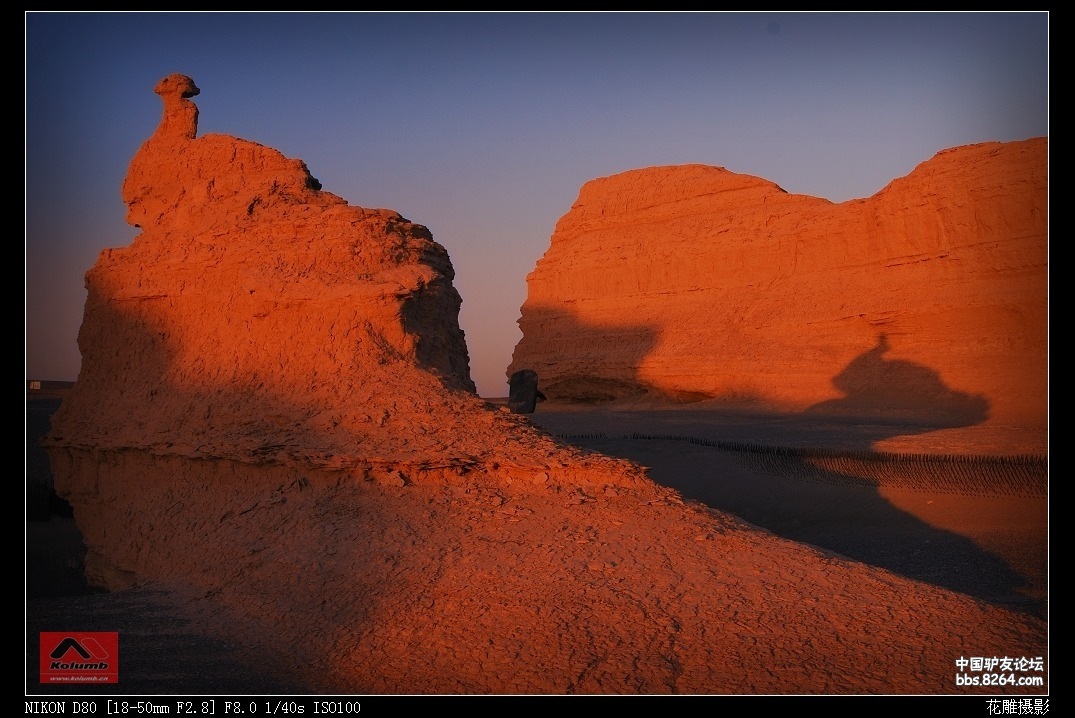 D01-22_3.jpg
