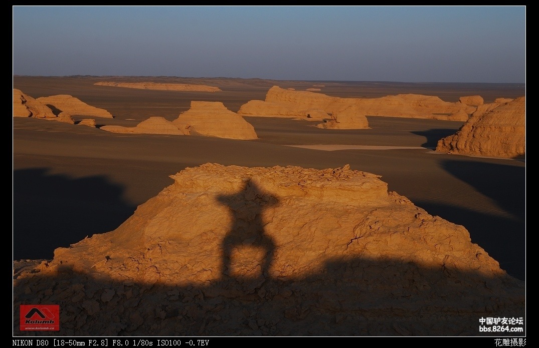 D01-19_3.jpg