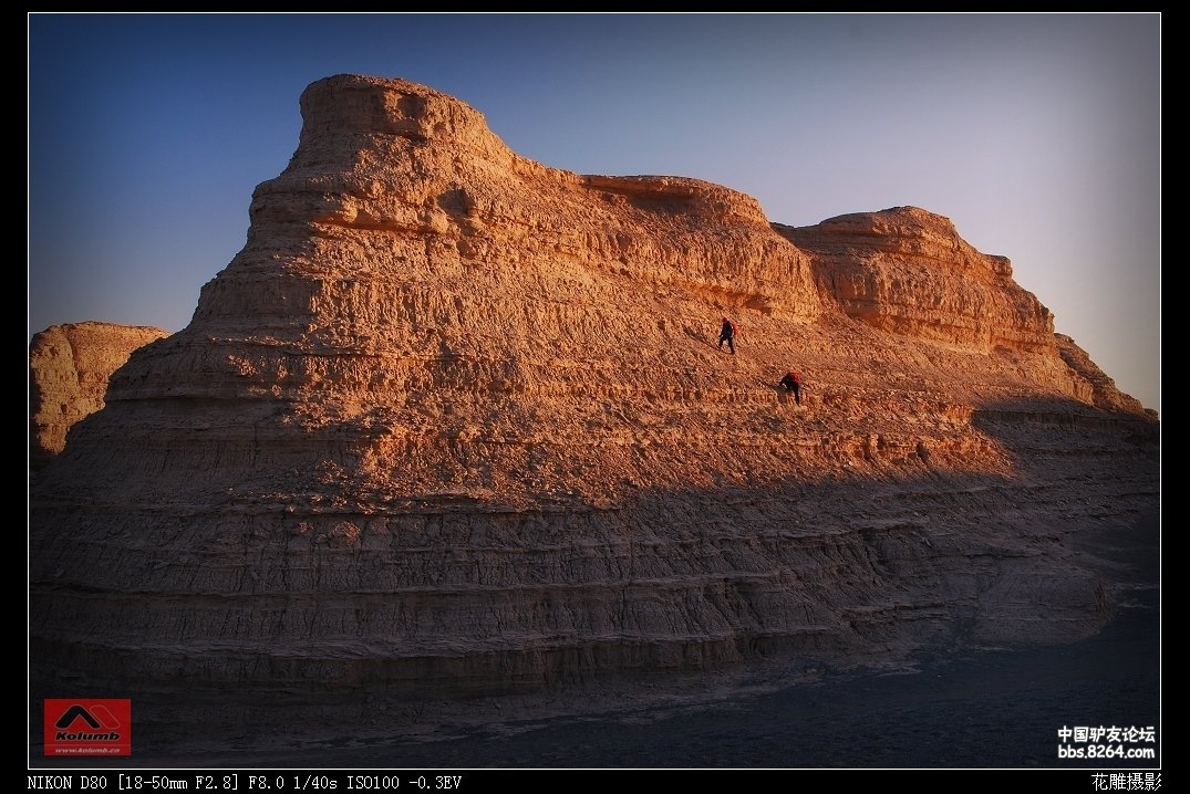 D01-21_3.jpg