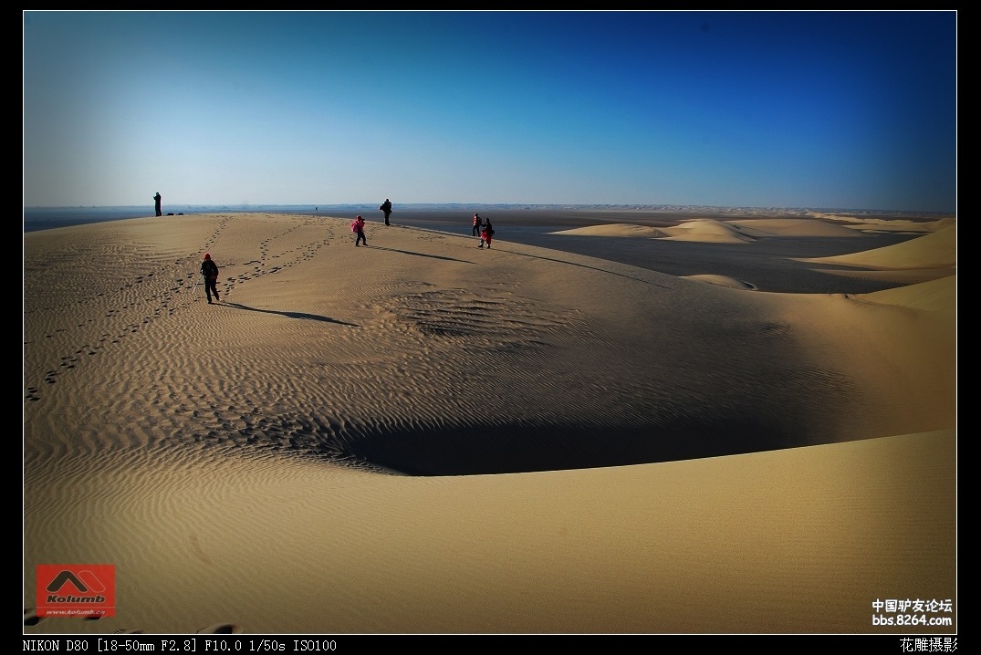 D02-15.jpg
