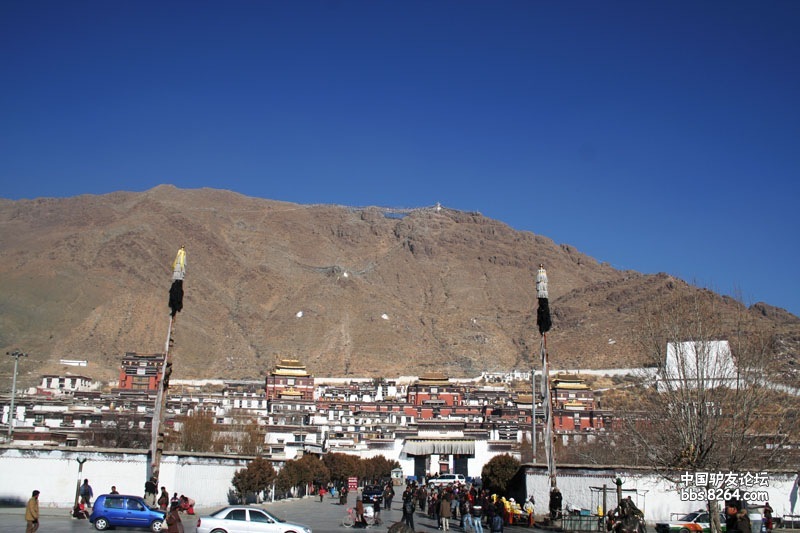 IMG_0081.jpg