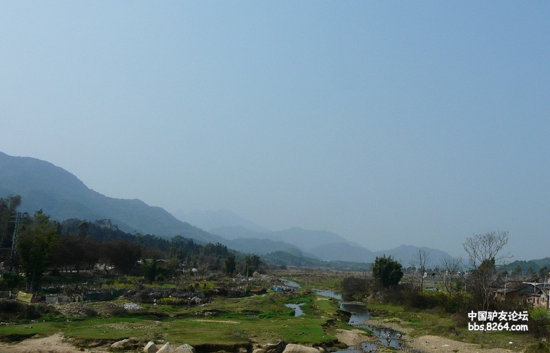 P1230010.jpg