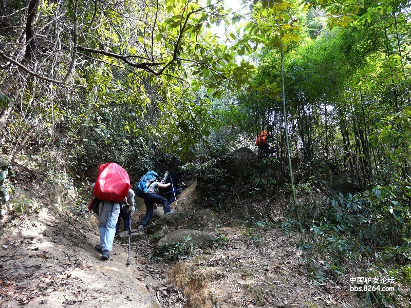 P1230060.jpg