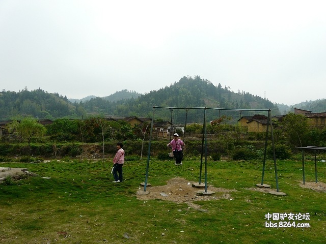 P1250994.jpg