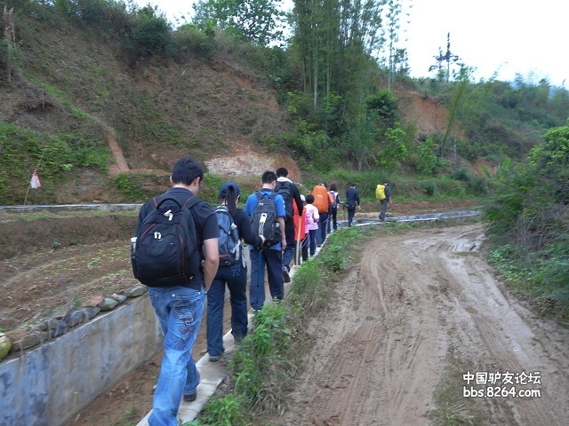 P1260005.jpg