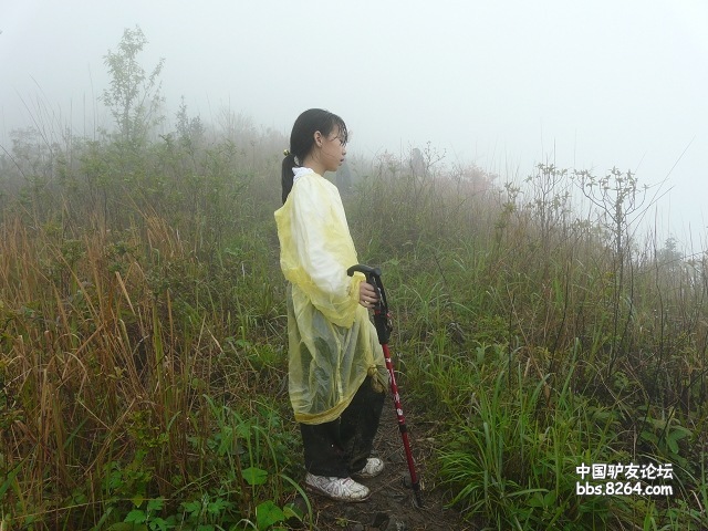 P1260007.jpg