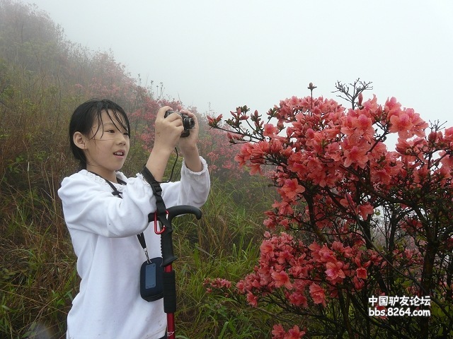 P1260047.jpg
