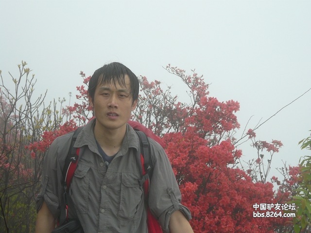 P1260099.jpg