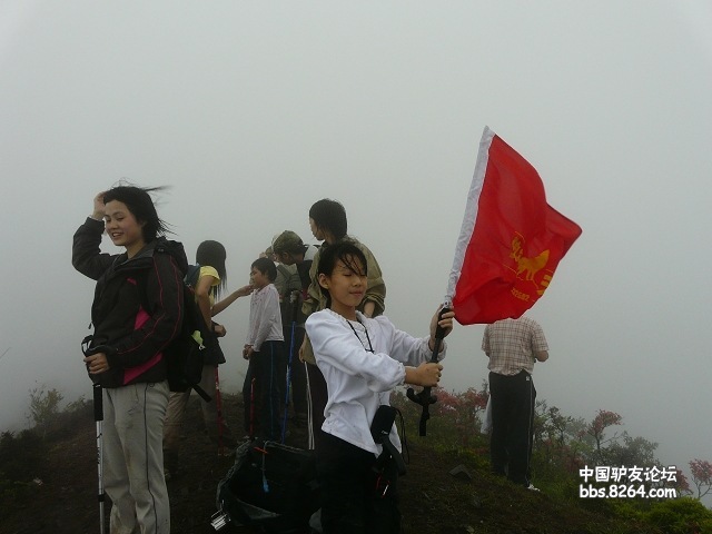 P1260107.jpg
