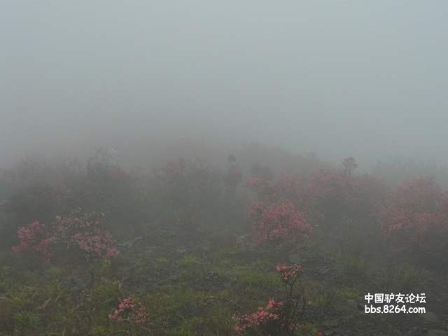 P1260105.jpg
