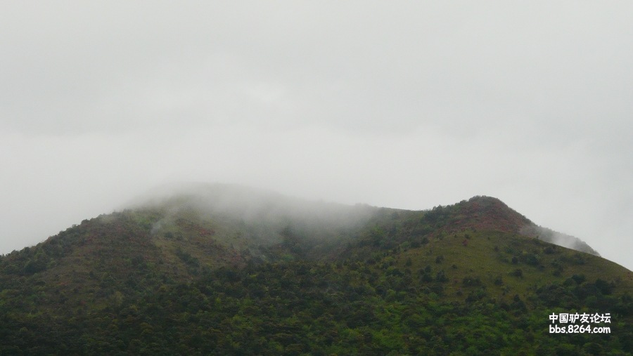 P1260187.jpg