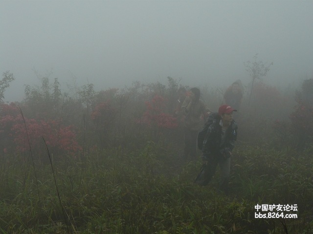 P1260041.jpg