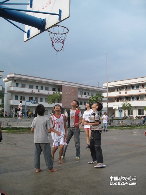 IMG_0051.jpg