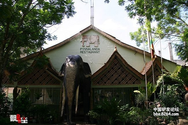 07.jpg