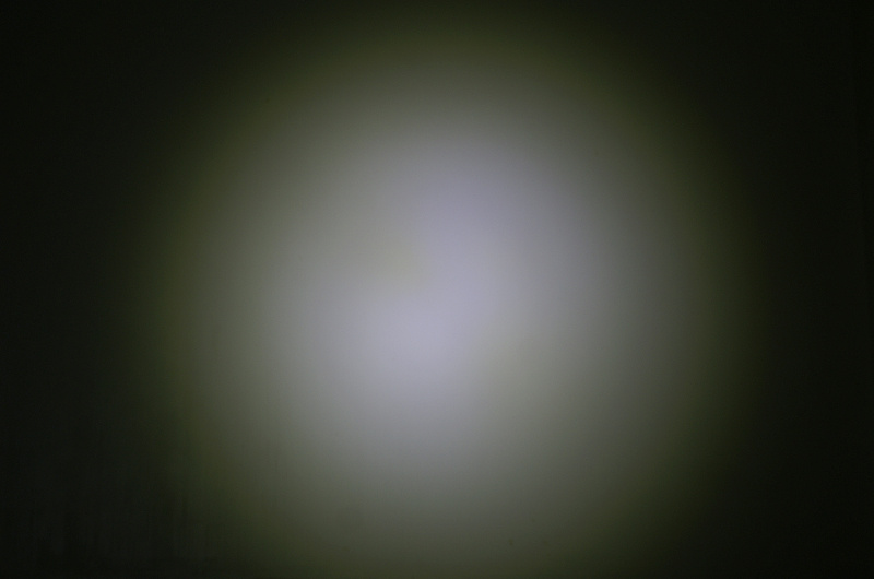 D100.JPG