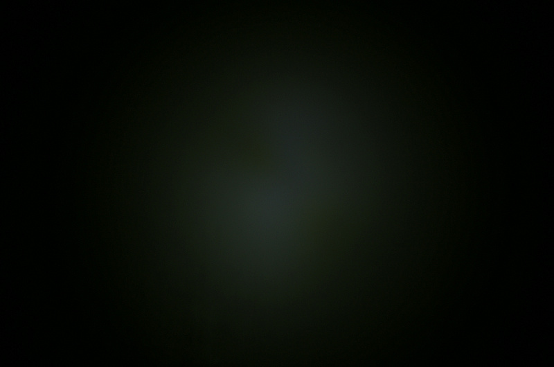 D100.JPG