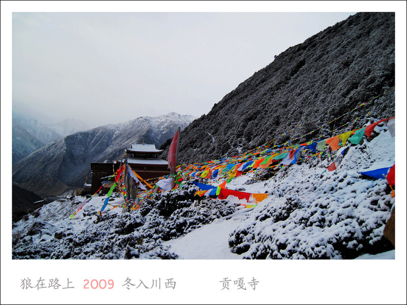 IMG_0855_��Ӱ_1.jpg