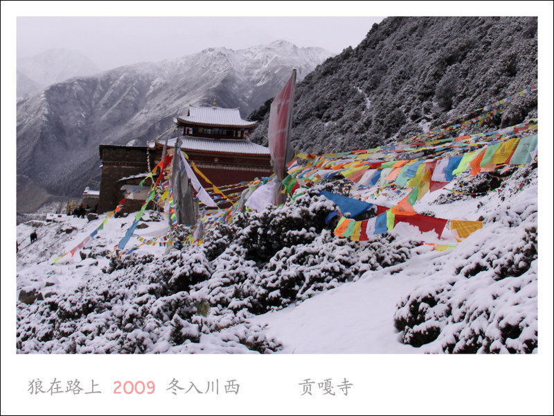 IMG_5557_��Ӱ_1.jpg