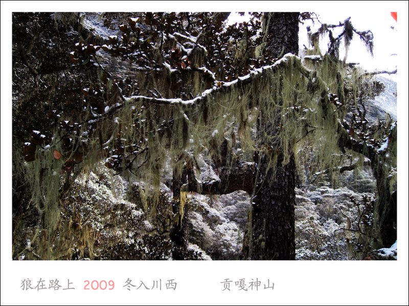 IMG_0877_��Ӱ_1.jpg