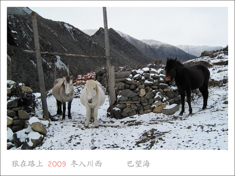IMG_0880_��Ӱ_1.jpg