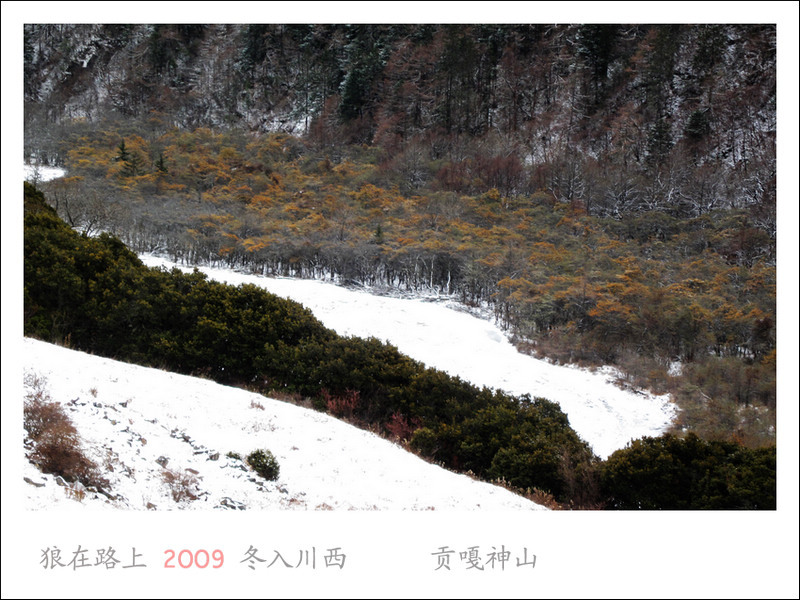 IMG_0888_��Ӱ_1.jpg