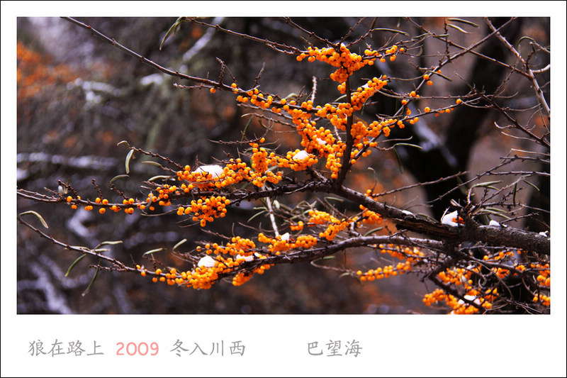 IMG_5564_��Ӱ_1.jpg