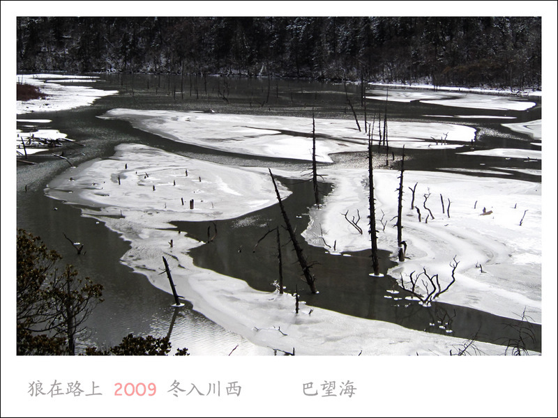 IMG_0937_��Ӱ_1.jpg