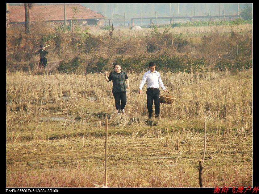DSCF7153.jpg