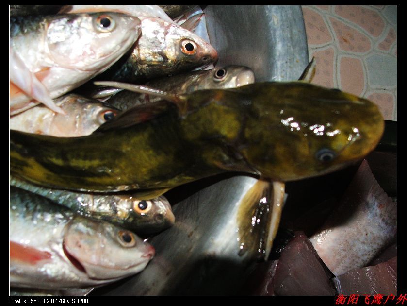 DSCF7126.jpg