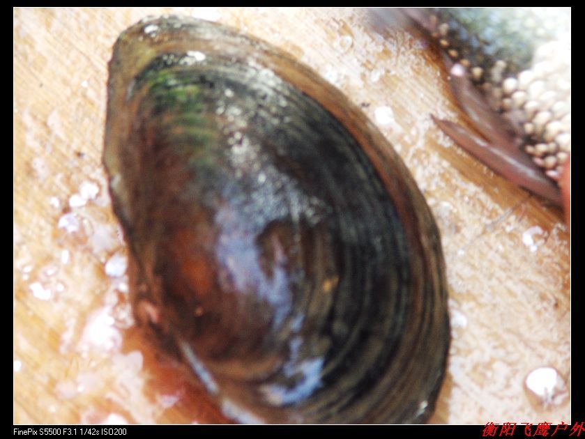 DSCF7120.jpg