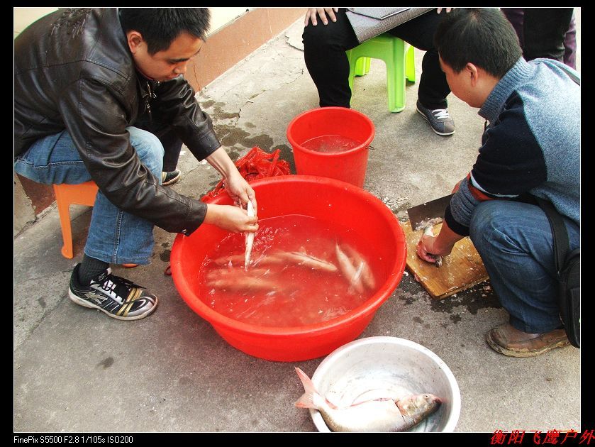 DSCF7119.jpg