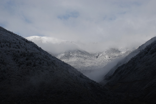 DSC_0030.jpg