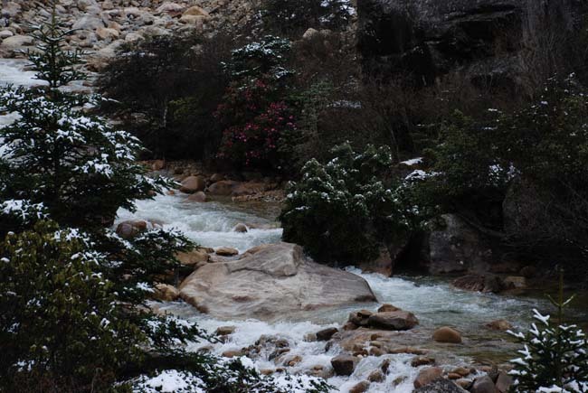 DSC_0043.jpg