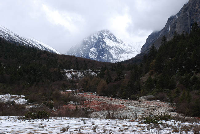 DSC_0057.jpg