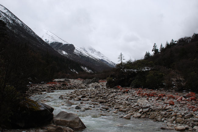 DSC_0058.jpg