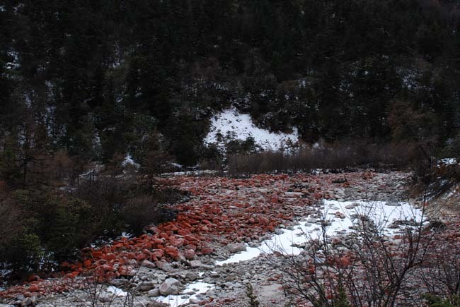 DSC_0069.jpg