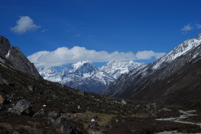 DSC_0105.jpg