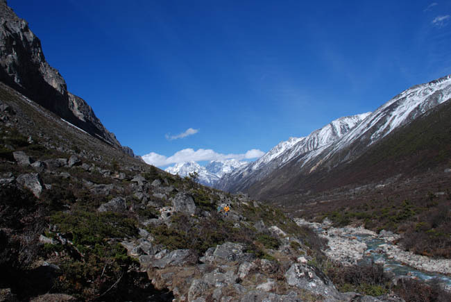 DSC_0106.jpg
