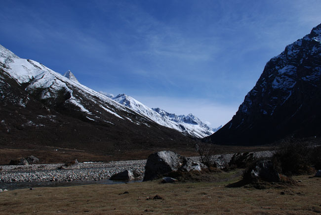 DSC_0114.jpg