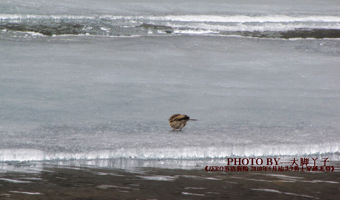 IMG_2927.jpg
