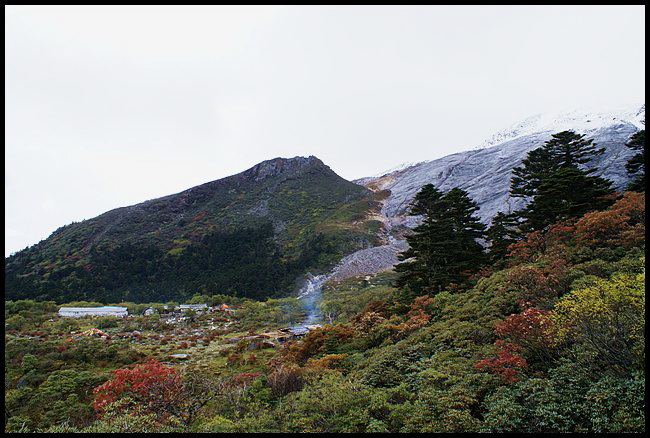 DSC08454.jpg