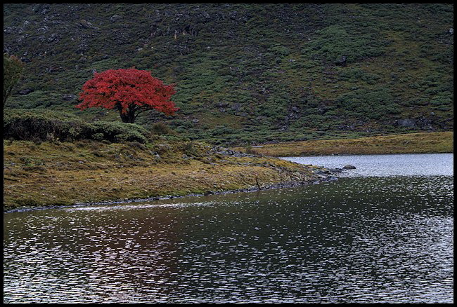 DSC08619.jpg