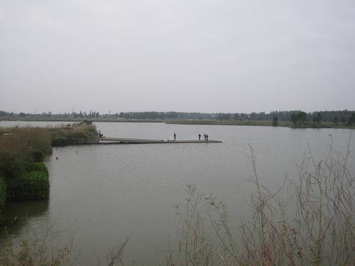 s6.jpg