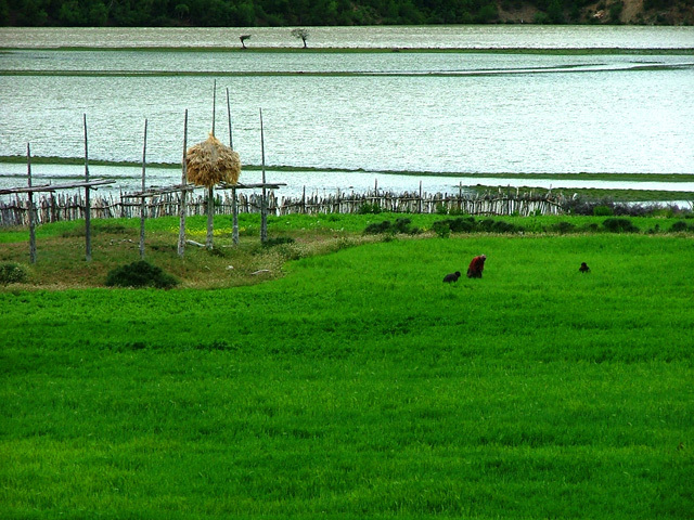 DSCF1957.jpg
