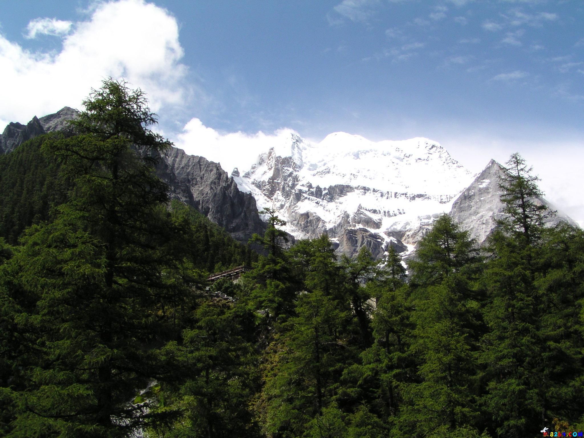 P7187911.JPG