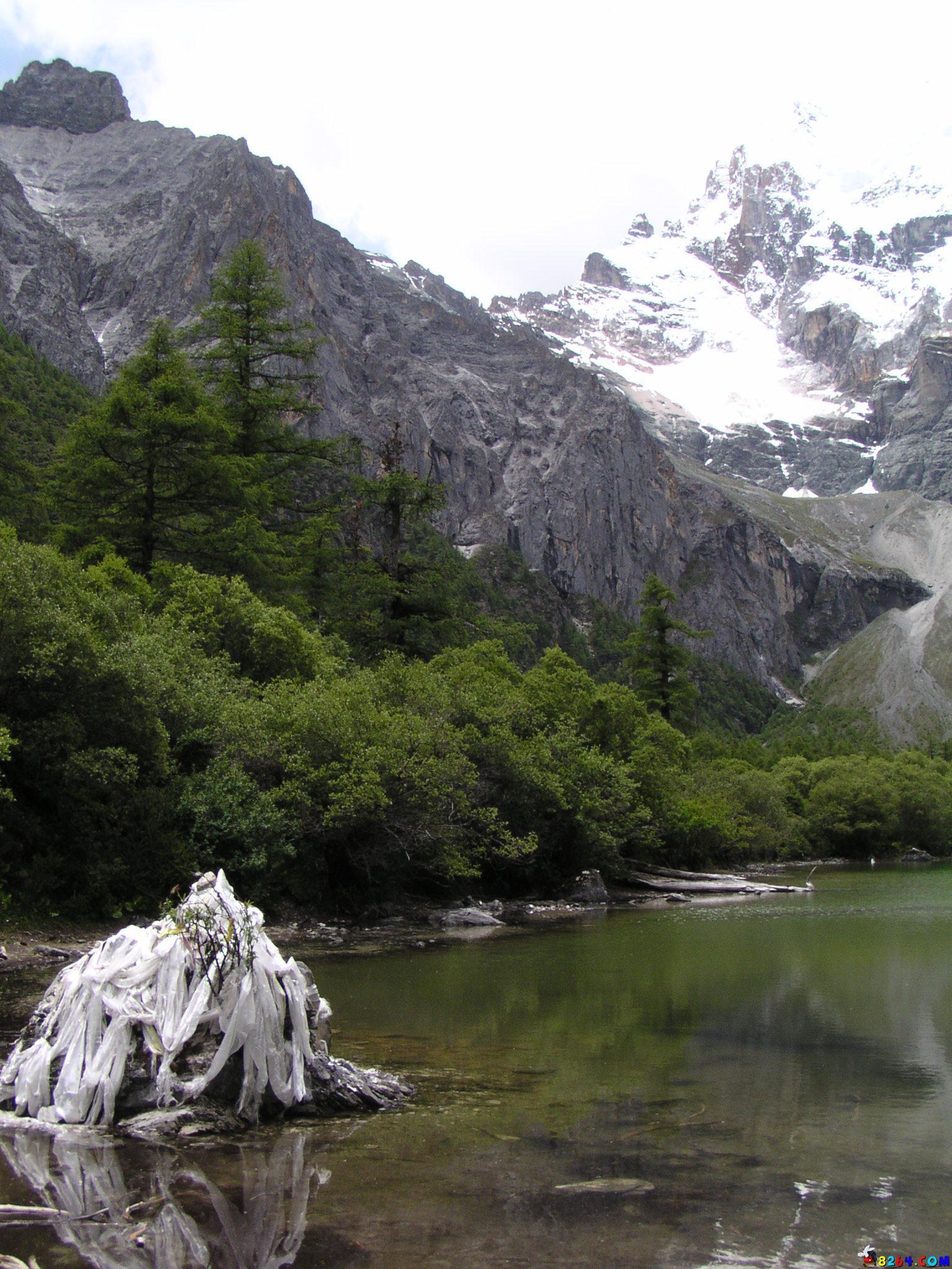 P7187987.JPG