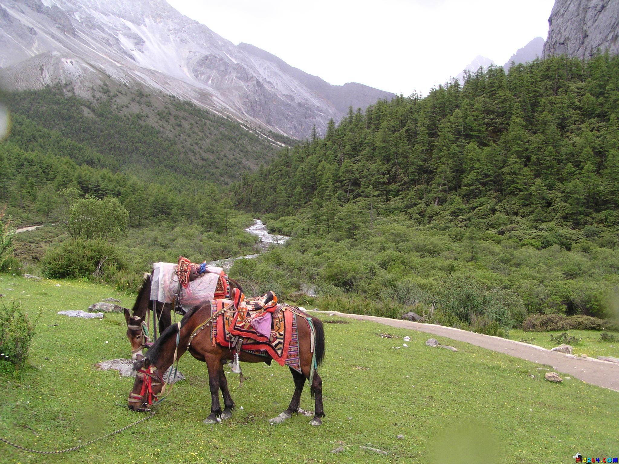 P7188075.JPG