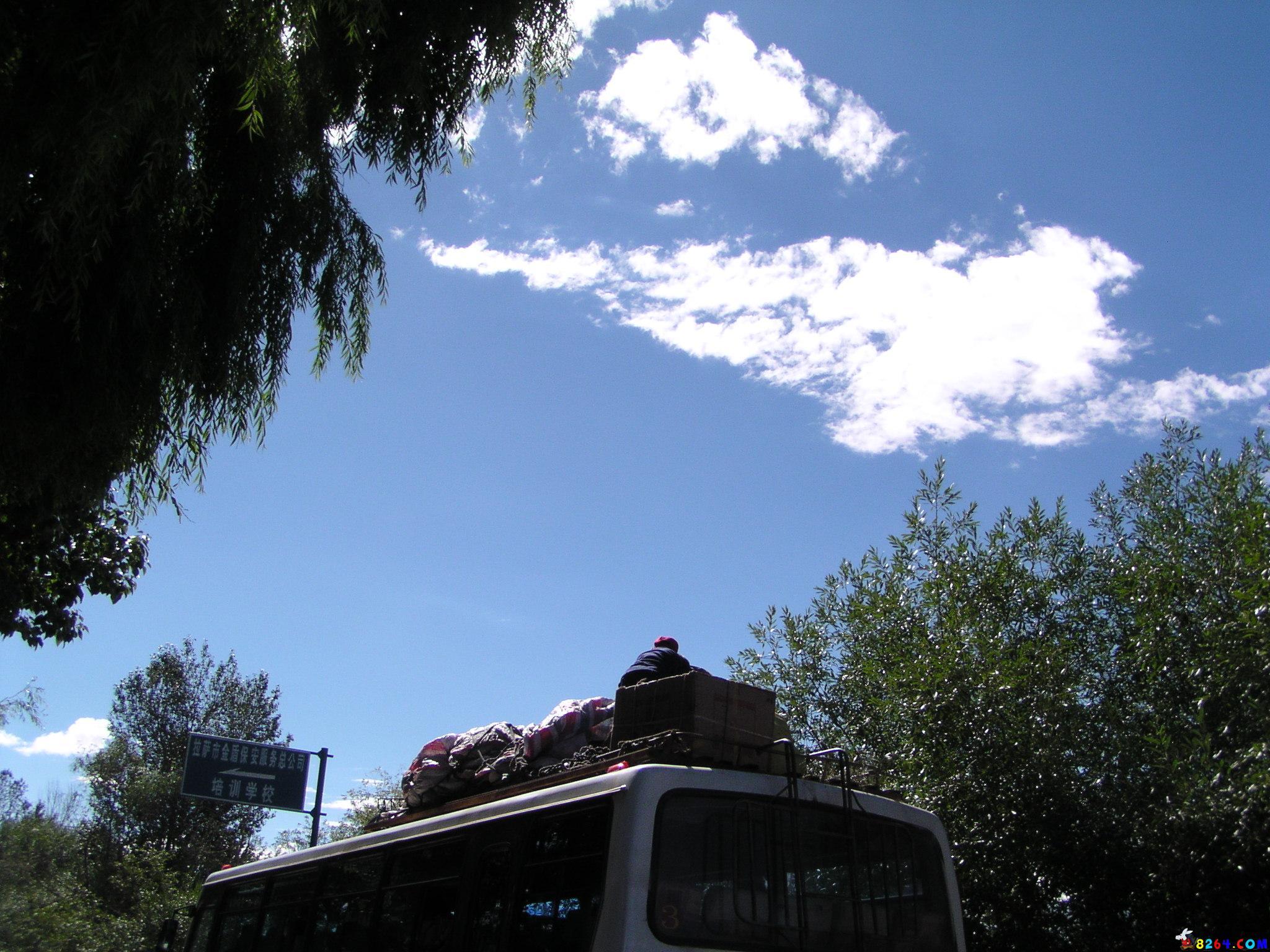 P8110573.JPG