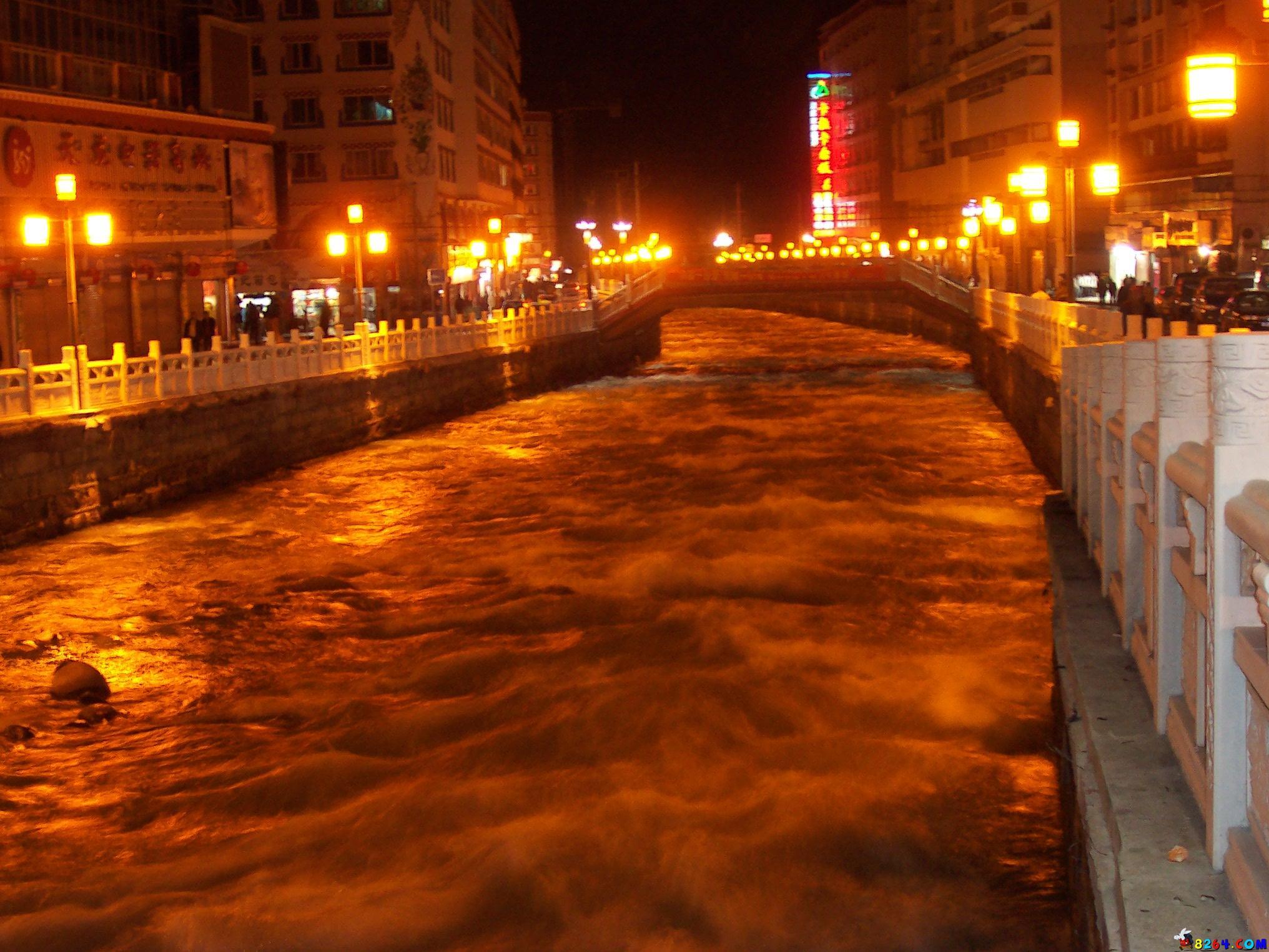 100_0798.JPG